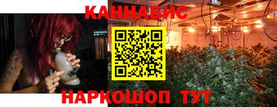 индика Заволжье