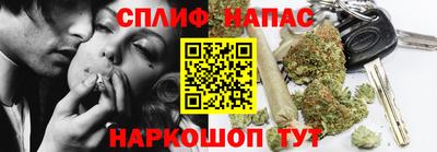 индика Заволжье