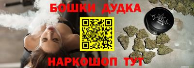 индика Заволжье