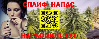 индика Заволжье