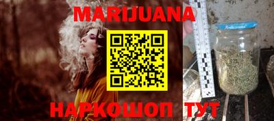 индика Заволжье