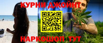индика Заволжье