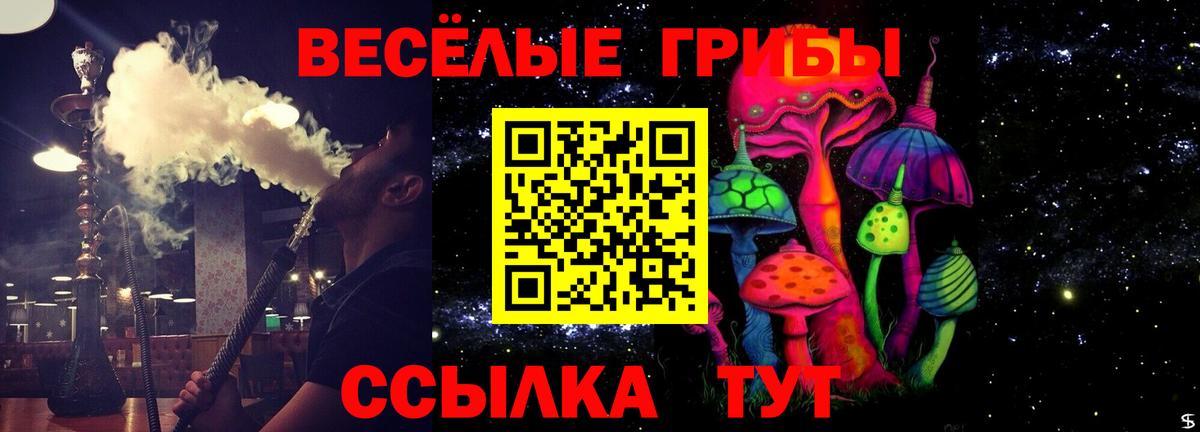 Псилоцибиновые грибы Psilocybine cubensis  наркотики  Волжск  Вход с VPN  Псилоцибиновые грибы Psilocybe 